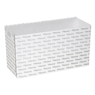Autolock Boxes 2804 Filecorp Pack of 4 | Kiwi Office