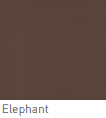 warwick_charisma-ELEPHANT.png