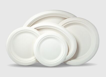 Disposable Plates & Bowls