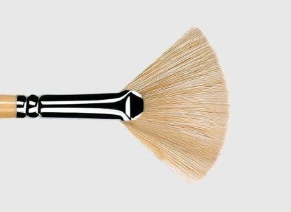 Fan Brushes