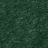 23-Forest Green.png