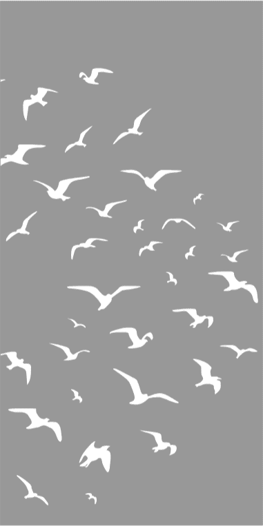Flock.png