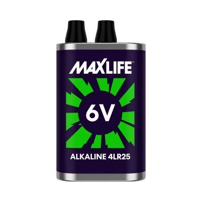 BAT6V-A.png